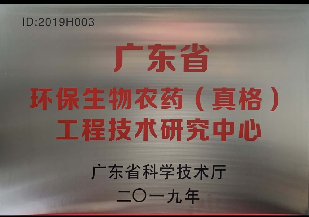 金榜提名，載譽歸來