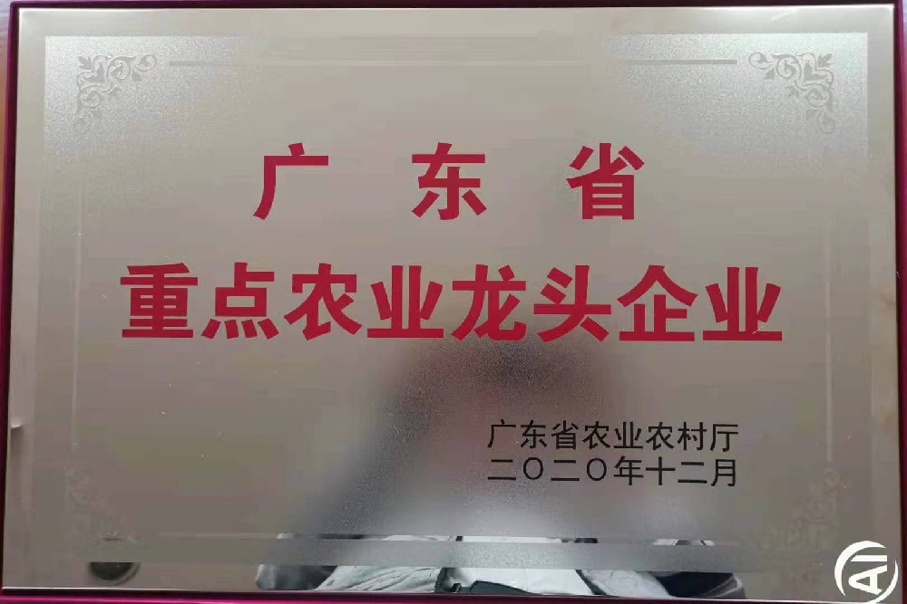 更上一層樓！追求無止境