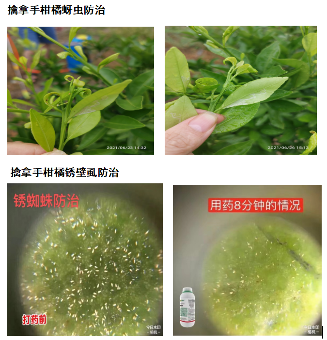 針對這個可控難治的病，我們有高招！