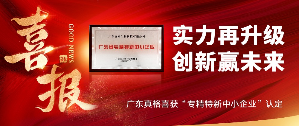 實力再升級，創新贏未來！ ——廣東真格喜獲“專精特新中小企業”認定